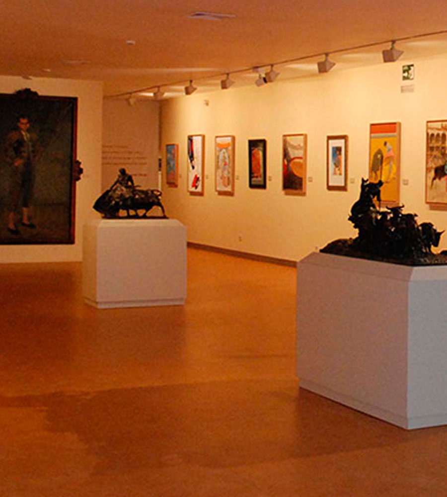 Museo taurino y tour las ventas