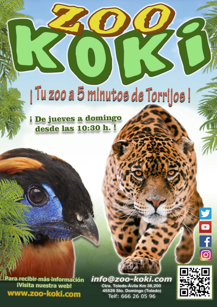 Excursión mágica al Zoo Koki, parque zoológico y botánico.